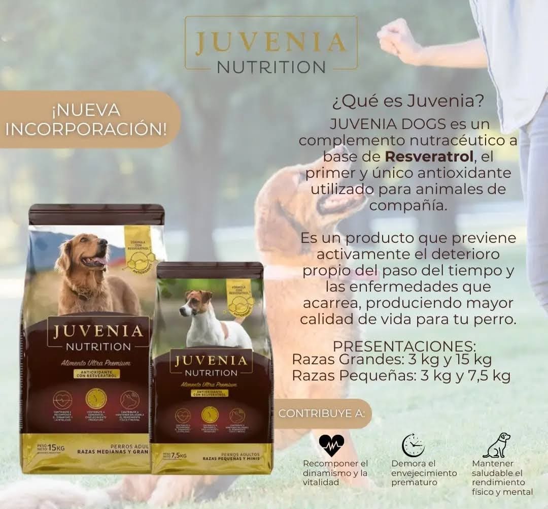 Juvenia